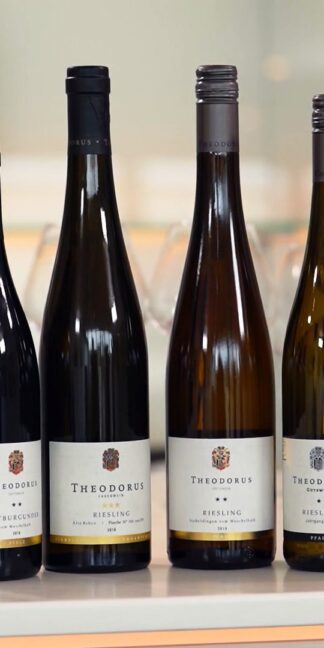 <br><br>Winters Wein Paket | je 1 Fl. Sauvignon Blanc Gutswein | 1Fl. Riesling Gutswein | 1 Fl. Riesling Siebeldingen | 1 Fl. Riesling Alte Reben  | 1 Fl. Spätburgunder Siebeldingen | 1 Fl. Spätburgunder Frankweiler |  statt € 75,30 nur € 74.00<br>